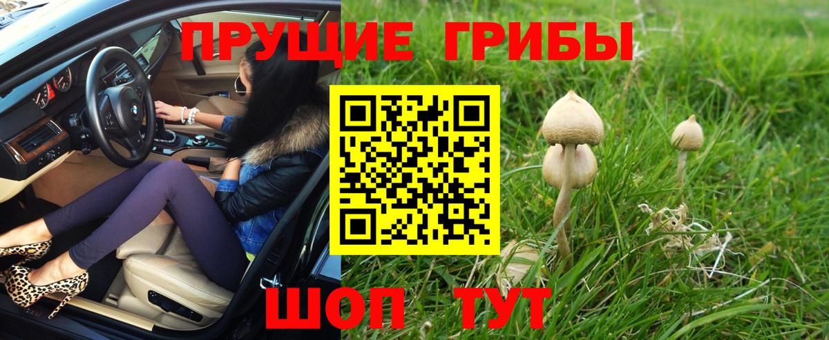 Карпинск  Псилоцибиновые грибы ЛСД  Вход с VPN 